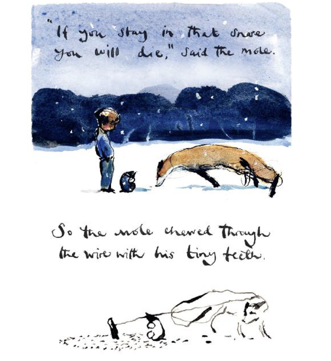 《The Boy, the Mole, the Fox and the Horse》：去爱，也被爱。